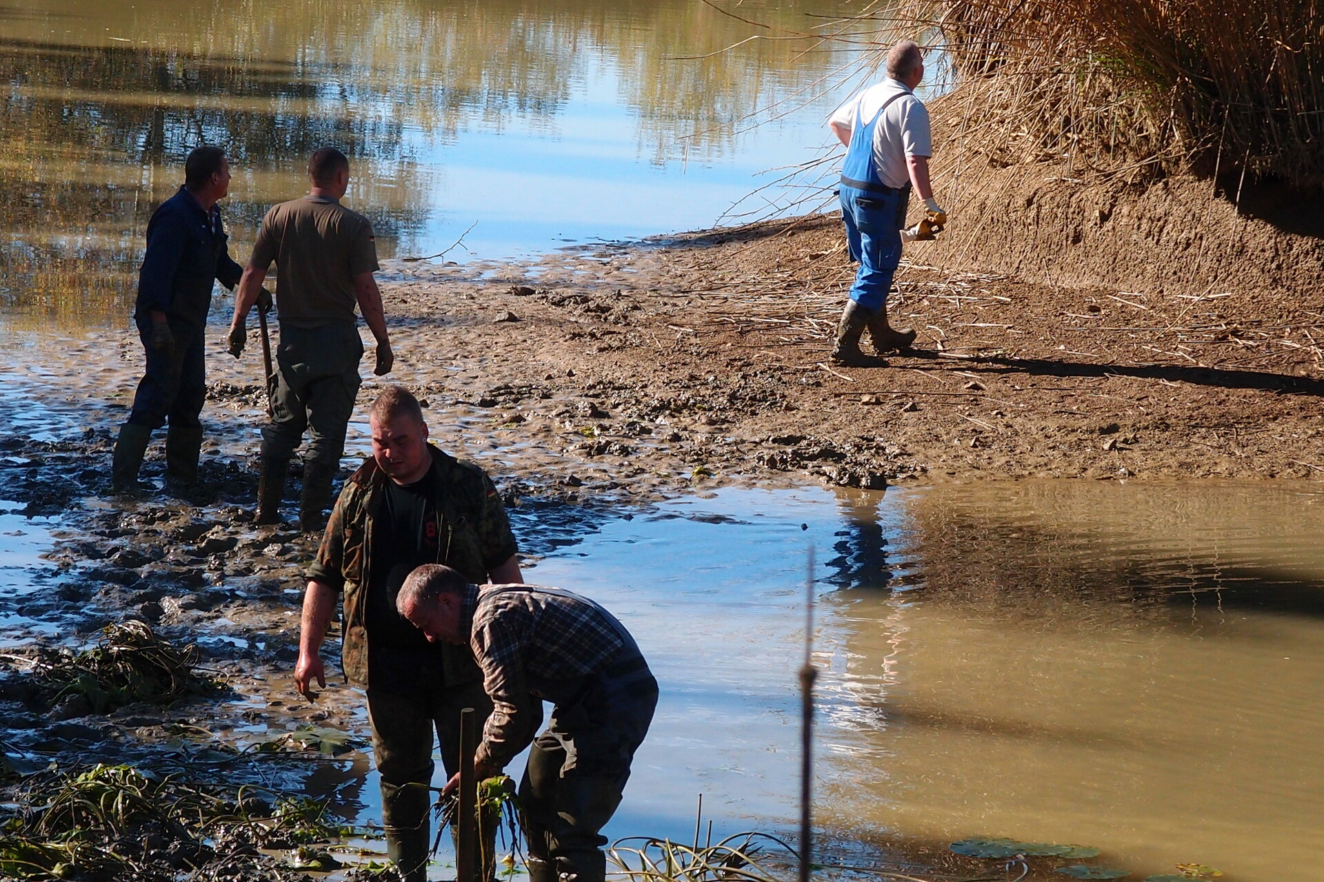 Galeriebild: PA183131